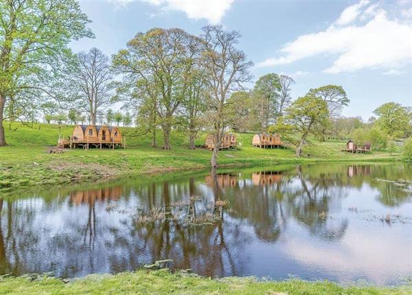 Relax and Explore Blossom Plantation Pods, Northumberland