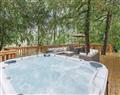 Lodges and hot tubs, the perfect combination at Henlle Hall Woodland Lodges, Henlle