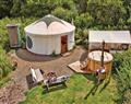 Relax on board on Florence Spring Yurt; Tenby
