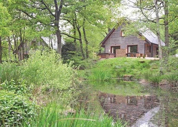 Relax and Explore Ramshorn Estate Woodland Lodges, Staffordshire