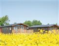 Slow the pace down on SM 2 Bed Gold Lodge; Burnham-on-Sea