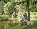 Enjoy the great outdoors at Bulworthy Forest Lodges, Webbery