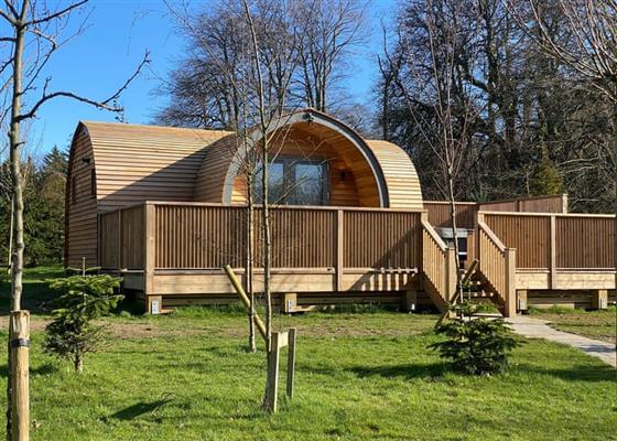 Caban Adar at Henlle Hall Woodland Lodges, Oswestry