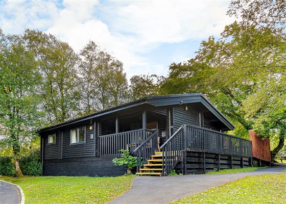 Cumberland Bird of Prey Centre - Long Byres Holiday Cottages