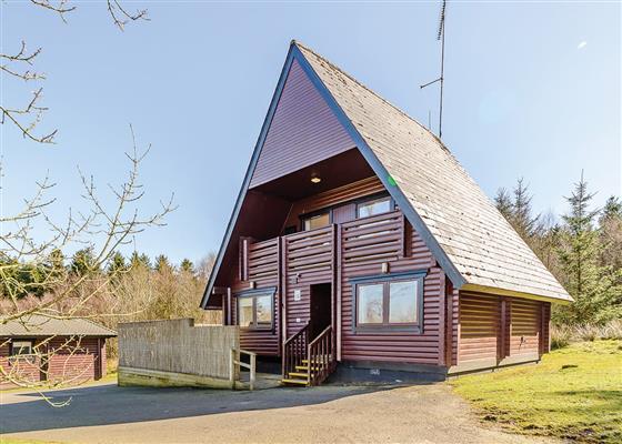 Cumberland Bird of Prey Centre - Long Byres Holiday Cottages