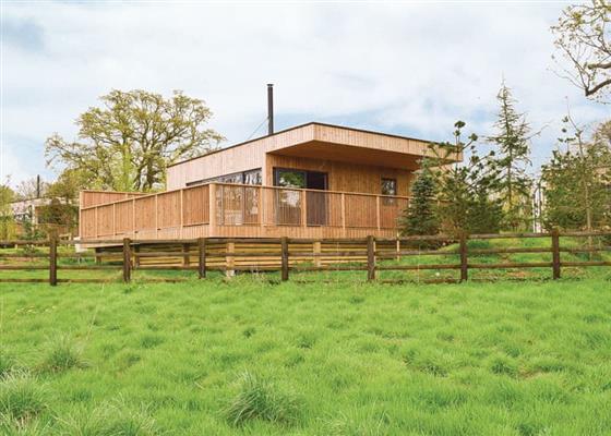 Meadow Lodge 1 at Henlle Hall Woodland Lodges, Oswestry