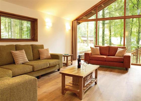 Silver Birch 2 at Sherwood Forest Lodges, Mansfield
