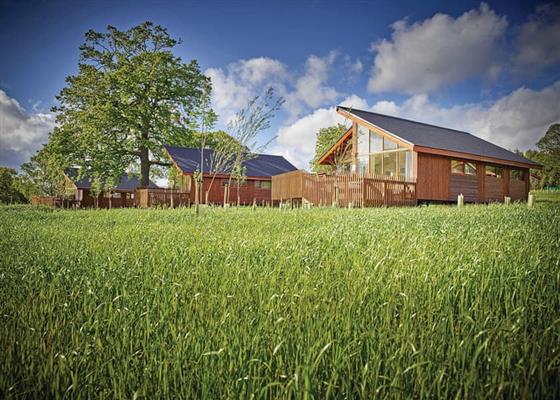 Silver Birch 2 Meadow Cabin (Pet) at Forest of Dean Lodges, Coleford