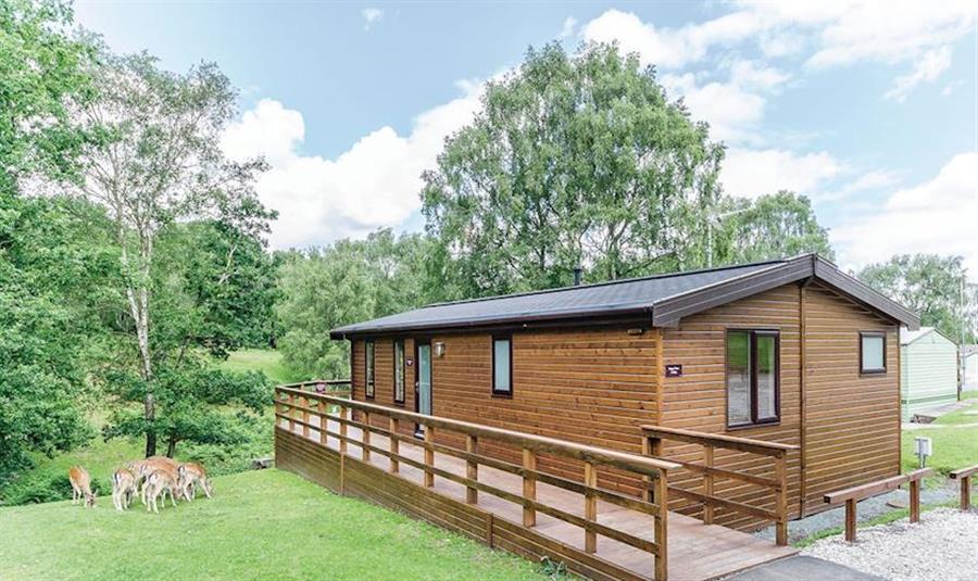 Silver Trees Rugeley Cannock Chase Self Catering Holidays And Silver Trees