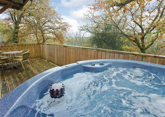 Woodland Deluxe Lodge 6 at Finlake Lodges, Newton Abbot