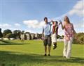 The family will have a great time at 2 Bed Gold Caravan (Adapted); Looe