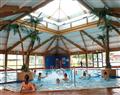 Enjoy a dip in the pool at Allhallows Gold 3; Nr Rochester