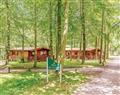 Kenwick Woods Lodges in Louth - Lincolnshire