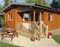 The family will have a great time at Ash Tree Lodge; Crewkerne
