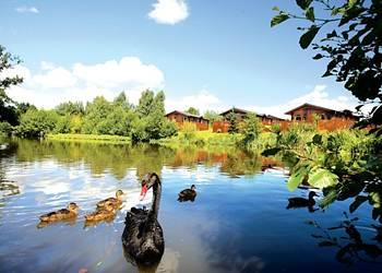 Goldcrest VIP Lodge at Ashlea Pools Country Park in Bucknell, Shropshire