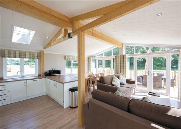 Field View 2 deluxe at Athelington Hall Farm Lodges in 