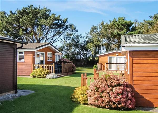Platinum 2 Bed Lodge - Alderney at Atlantic Bays Holiday Park in Padstow, Cornwall
