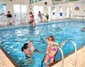 Relax in the swimming pool at Avocet; Brixham