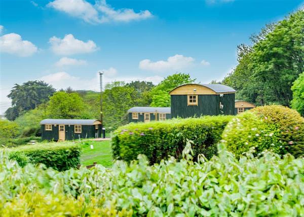 Wheal Shepherd Hut at Beacon Shepherd Huts in 