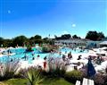 Bedruthan Pet at Monkey Tree Holiday Park <i>Cornwall</i>