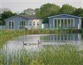 Beech Lodge at Florence Springs Lakeside Lodges in Tenby - St Florence