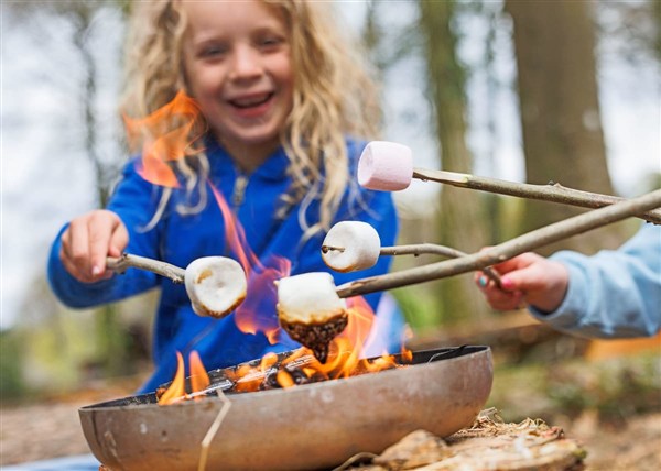 Golden Oak Hideaway (Pet) in 