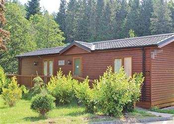 Wagtail Lodge at Border Forest Lodges in Newcastle upon Tyne, Cottonhopesburnfoot