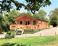 The family will have a great time at Buzzard Lodge; Llandrindod Wells