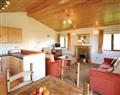 The family will have a great time at Cedar Lodge; Wadebridge