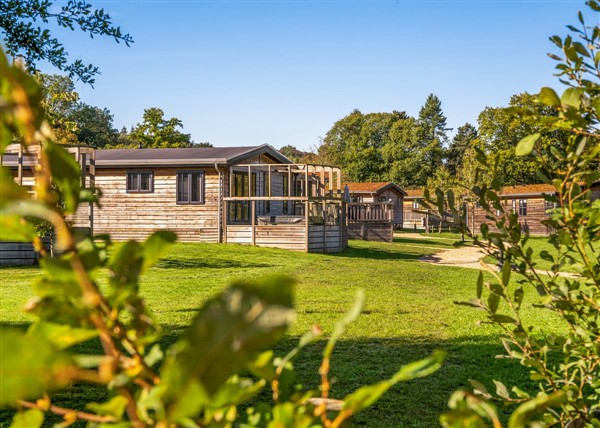 Signature Spa Pet 4 in 