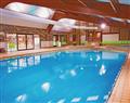 Enjoy a leisurely break at Comfort Lodge 4 Pet; Fordingbridge