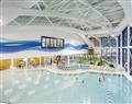 Relax in the swimming pool at Comfort Lodge; Newton Abbot