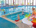 Relax in the swimming pool at Commodore Gold Caravan; Teignmouth