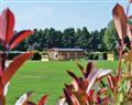 Enjoy a family short break at Country Lodge Six Platinum; Guildford