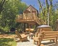 Have a fun family holiday at Cuckoos Nest Treehouse; Tenby