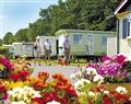 Enjoy the facilities at Dorset Horizon; Bridport