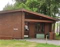 The family will have a great time at Dyfed Lodge; Narberth
