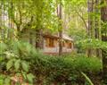 Gardeners Lodge (No Pets) at Griffon Forest <i>North Yorkshire</i>