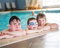 Enjoy a dip in the pool at Gold Plus 2 (Pet); Aberystwyth
