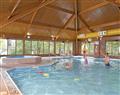 Enjoy the facilities at Hawthorn Lodge; Pitlochry