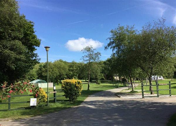 Gold Plus 2 Caravan (sleeps 6) (Pet Friendly) at Hedley Wood Holiday Park in 