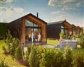 Hillside Cabin at Love2Stay Mid Wales <i>Powys</i>