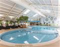 Relax in the swimming pool at Juniper 2; Holywell