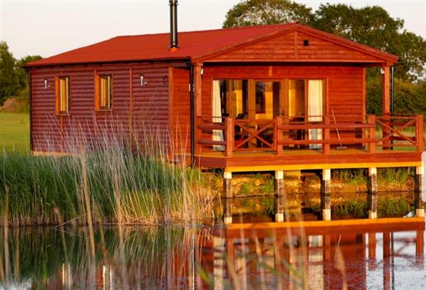 Micro Lodge Double at Lakeside Fishing Retreat in 