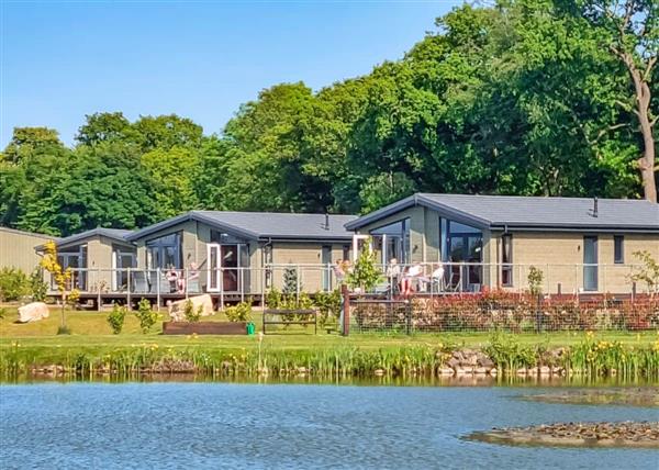 Rabbit Lodge at Lakeside Luxury Lodges in 