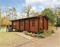 Log Cabin Premier at Whitemead Forest Park in Lydney - Forest of Dean