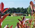 Have a fun family holiday at Luxury Lodge; Guildford