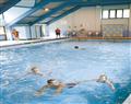 Relax in the swimming pool at Maple Chalet; Wadebridge