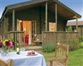 Have a fun family holiday at Meadow Lodge; Devizes