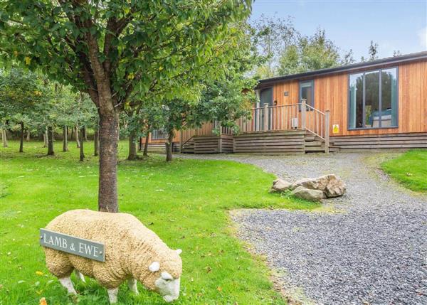 Shetland Lodge at Meadows End Lodges in 